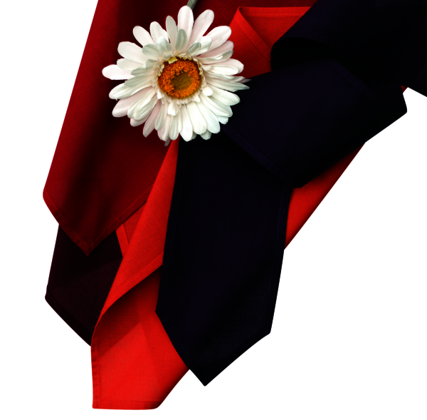 Fashion Color 30g, červené víno